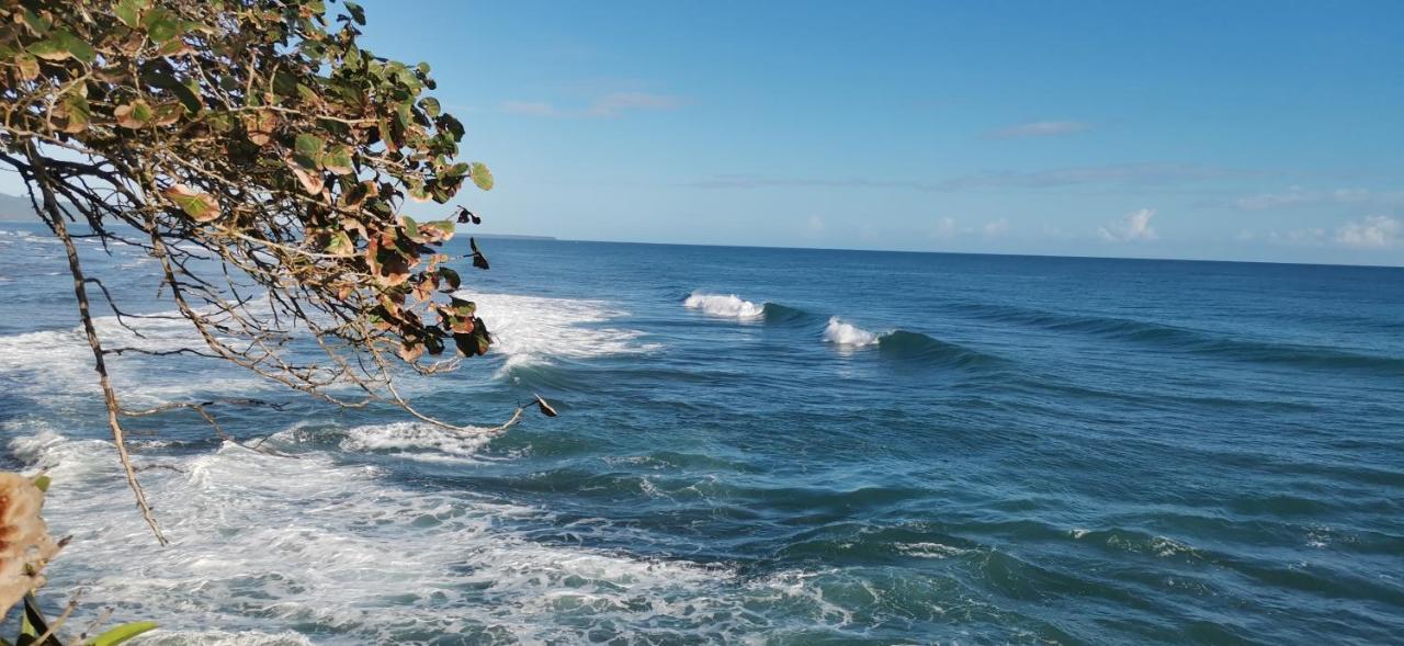 Cabinas Mitchaelle'S Puerto Viejo de Talamanca Eksteriør billede